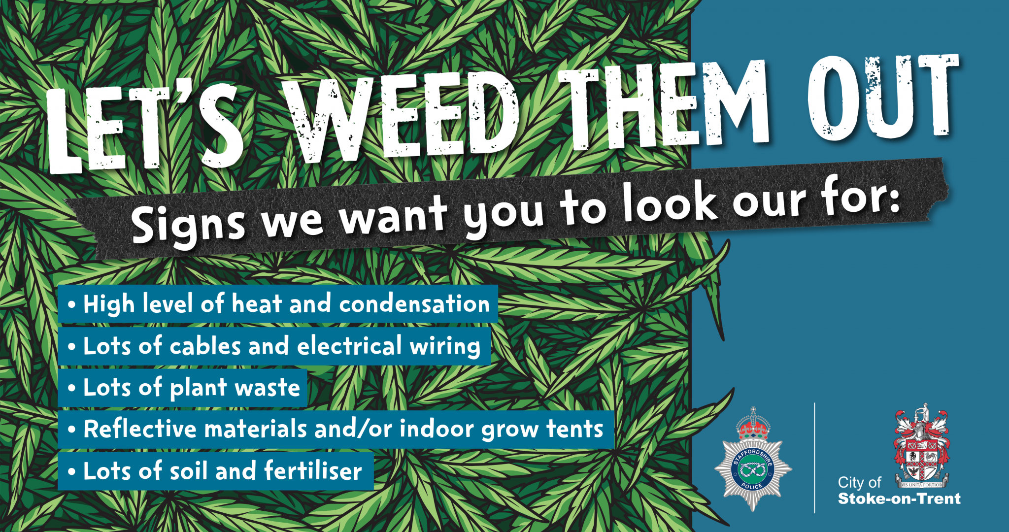 Stoke-on-Trent to weed out illegal cannabis grows in zero-tolerance